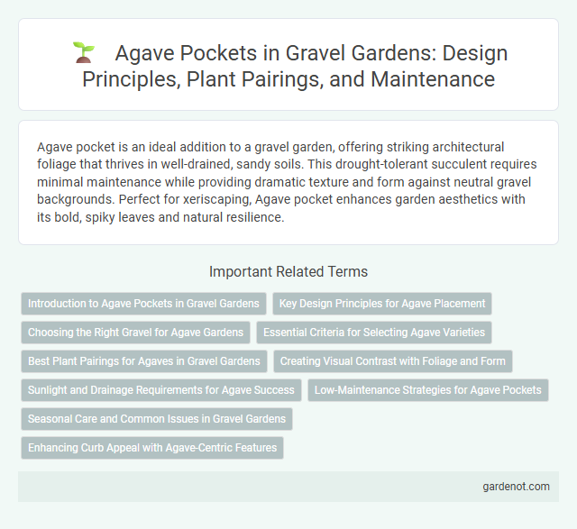 Agave Pockets in Gravel Gardens: Design Principles, Plant Pairings, and Maintenance