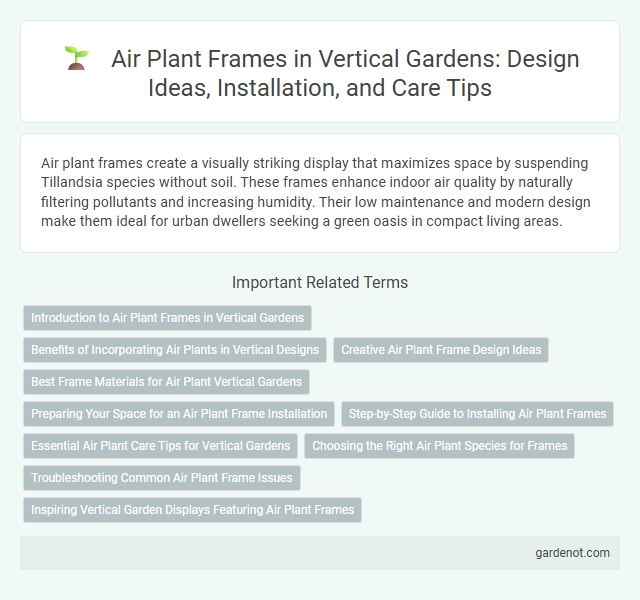 Air Plant Frames in Vertical Gardens: Design Ideas, Installation, and Care Tips