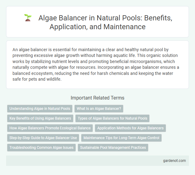 Algae Balancer in Natural Pools: Benefits, Application, and Maintenance