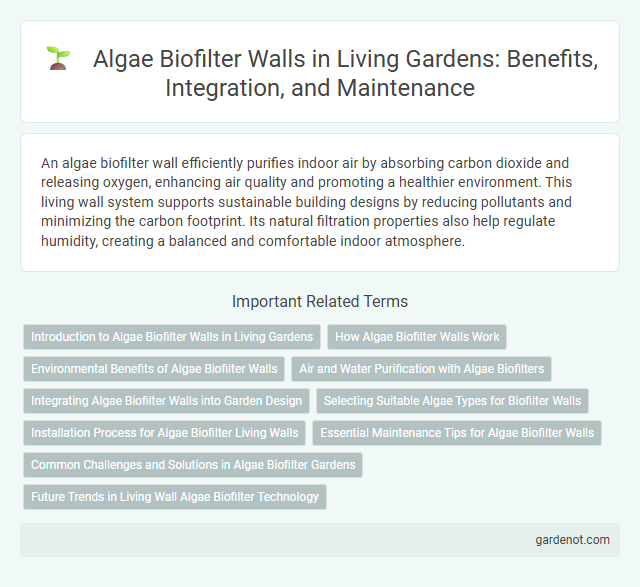 Algae Biofilter Walls in Living Gardens: Benefits, Integration, and Maintenance