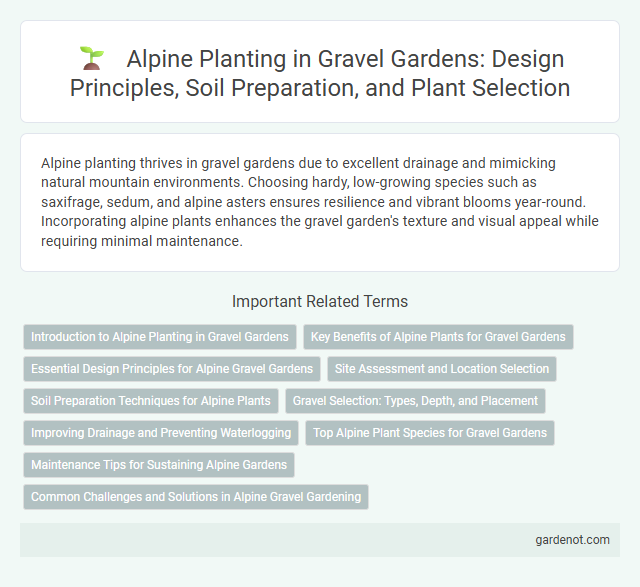 Alpine Planting in Gravel Gardens: Design Principles, Soil Preparation, and Plant Selection