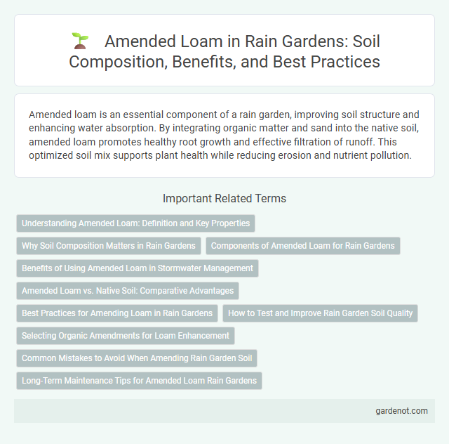 Amended Loam in Rain Gardens: Soil Composition, Benefits, and Best Practices
