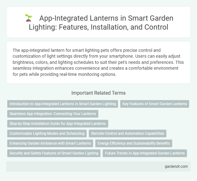 App-Integrated Lanterns in Smart Garden Lighting: Features, Installation, and Control