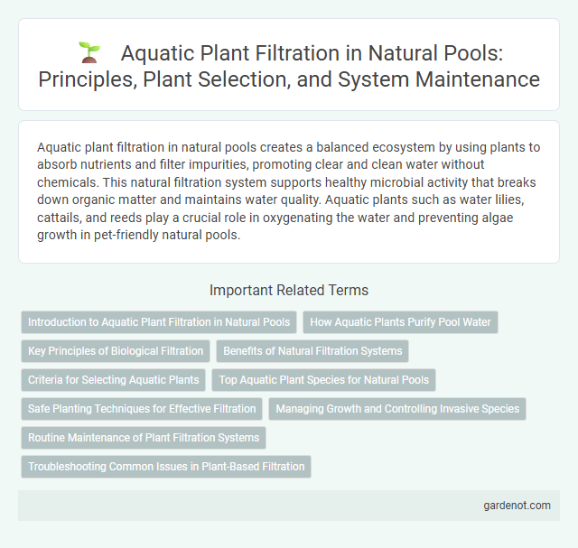 Aquatic Plant Filtration in Natural Pools: Principles, Plant Selection, and System Maintenance
