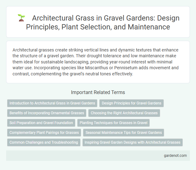 Architectural Grass in Gravel Gardens: Design Principles, Plant Selection, and Maintenance