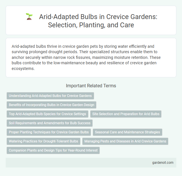 Arid-Adapted Bulbs in Crevice Gardens: Selection, Planting, and Care