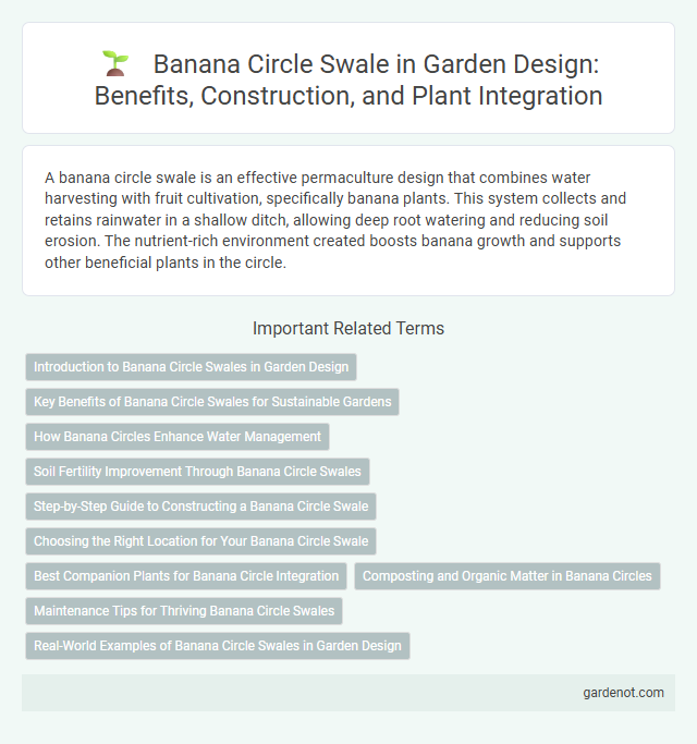 Banana Circle Swale in Garden Design: Benefits, Construction, and Plant Integration