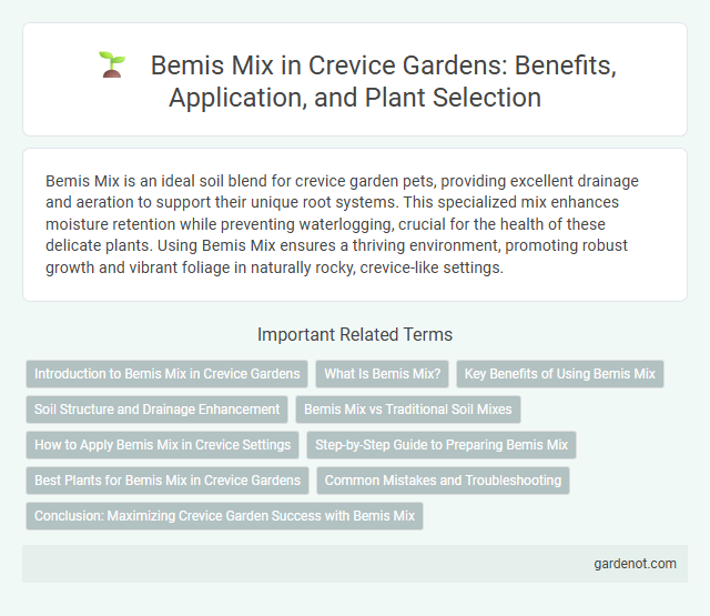 Bemis Mix in Crevice Gardens: Benefits, Application, and Plant Selection