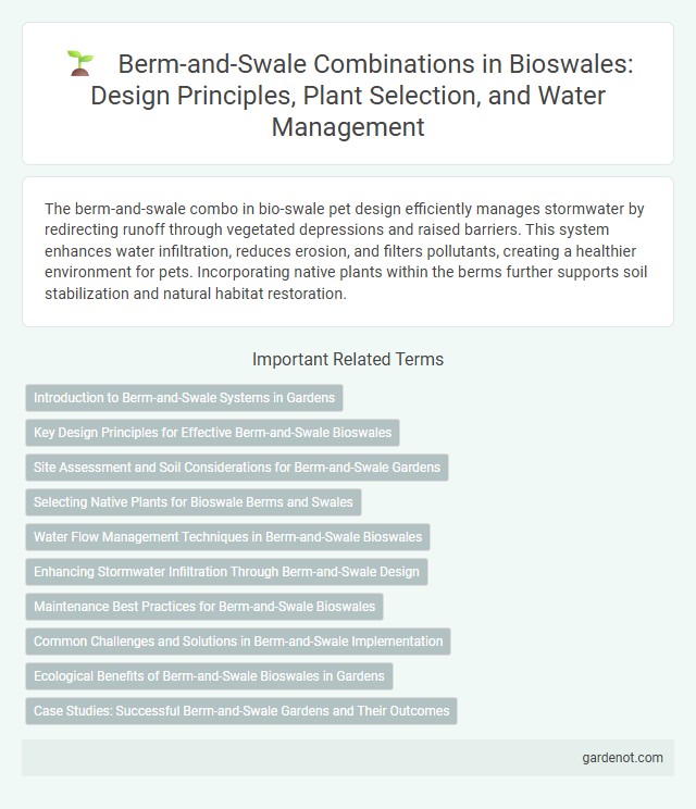 Berm-and-Swale Combinations in Bioswales: Design Principles, Plant Selection, and Water Management