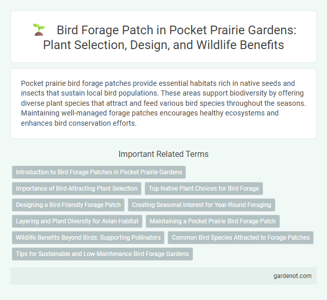 Bird Forage Patch in Pocket Prairie Gardens: Plant Selection, Design, and Wildlife Benefits