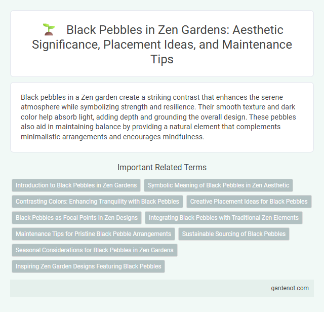 Black Pebbles in Zen Gardens: Aesthetic Significance, Placement Ideas, and Maintenance Tips