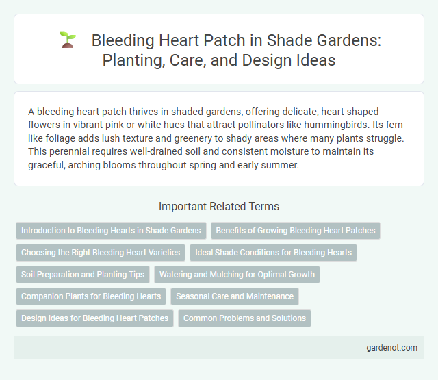 Bleeding Heart Patch in Shade Gardens: Planting, Care, and Design Ideas