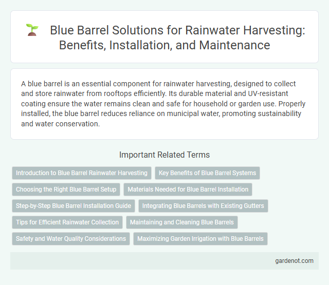 Blue Barrel Solutions for Rainwater Harvesting: Benefits, Installation, and Maintenance
