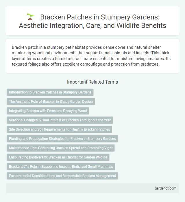 Bracken Patches in Stumpery Gardens: Aesthetic Integration, Care, and Wildlife Benefits