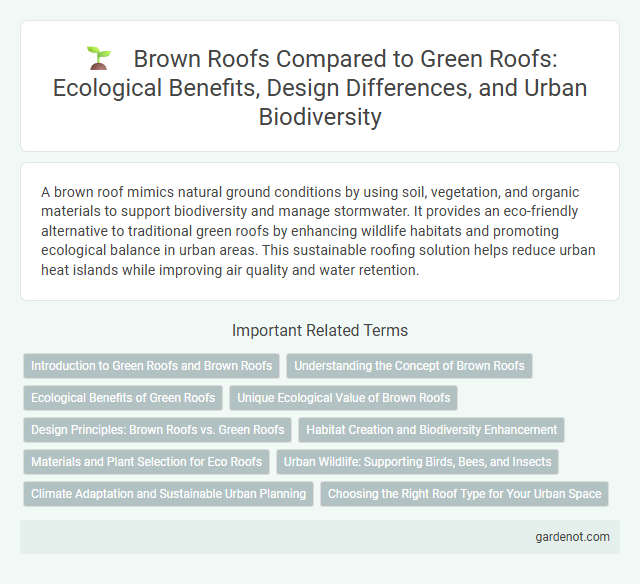 Brown Roofs Compared to Green Roofs: Ecological Benefits, Design Differences, and Urban Biodiversity