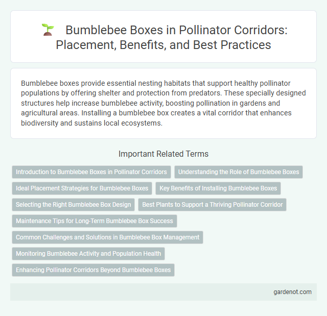 Bumblebee Boxes in Pollinator Corridors: Placement, Benefits, and Best Practices