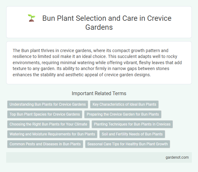 Bun Plant Selection and Care in Crevice Gardens