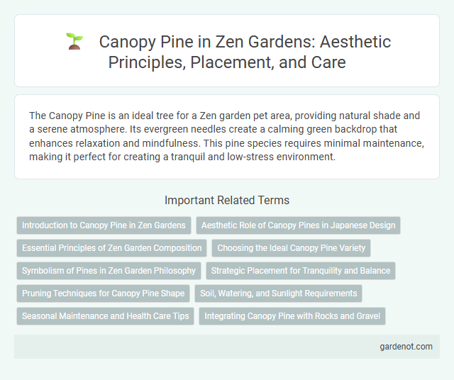 Canopy Pine in Zen Gardens: Aesthetic Principles, Placement, and Care