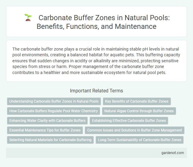 Carbonate Buffer Zones in Natural Pools: Benefits, Functions, and Maintenance