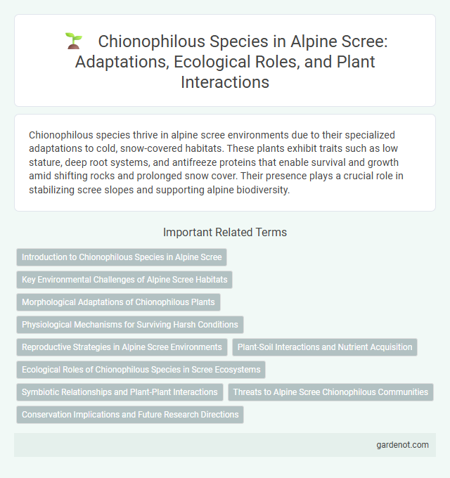 Chionophilous Species in Alpine Scree: Adaptations, Ecological Roles, and Plant Interactions