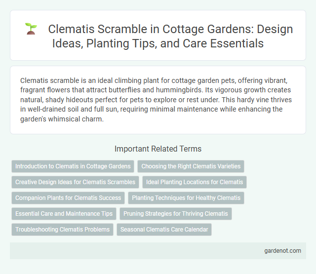 Clematis Scramble in Cottage Gardens: Design Ideas, Planting Tips, and Care Essentials