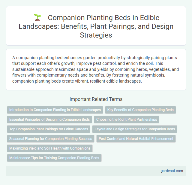 Companion Planting Beds in Edible Landscapes: Benefits, Plant Pairings, and Design Strategies