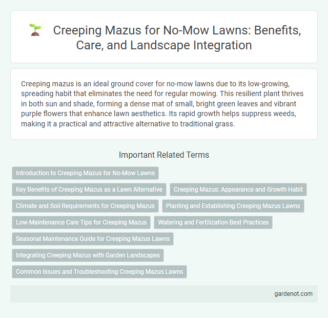 Creeping Mazus for No-Mow Lawns: Benefits, Care, and Landscape Integration