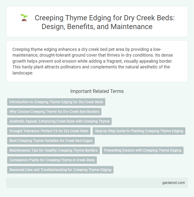 Creeping Thyme Edging for Dry Creek Beds: Design, Benefits, and Maintenance