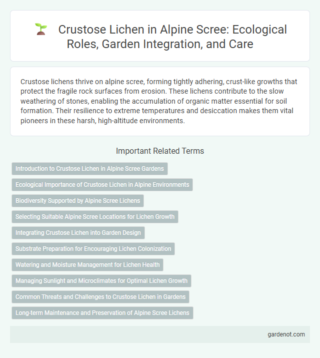 Crustose Lichen in Alpine Scree: Ecological Roles, Garden Integration, and Care