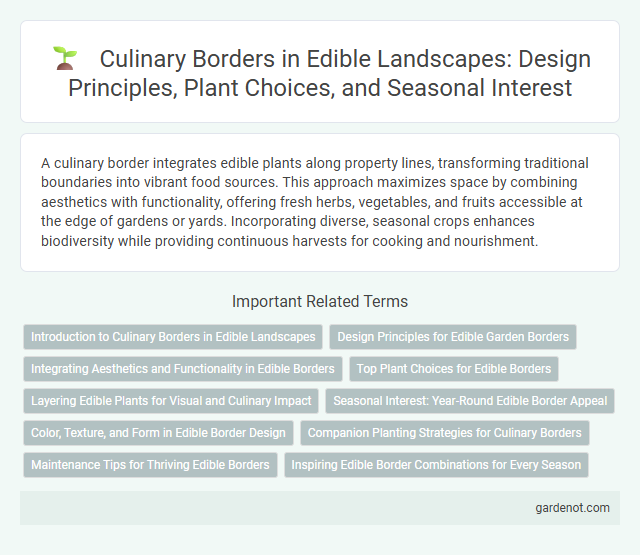 Culinary Borders in Edible Landscapes: Design Principles, Plant Choices, and Seasonal Interest