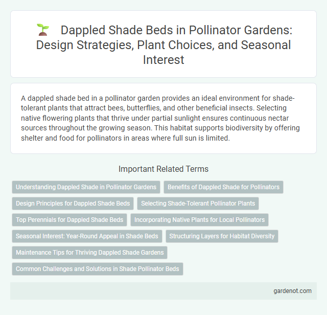 Dappled Shade Beds in Pollinator Gardens: Design Strategies, Plant Choices, and Seasonal Interest
