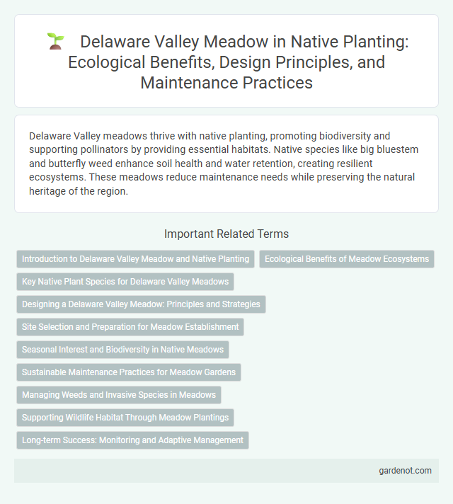 Delaware Valley Meadow in Native Planting: Ecological Benefits, Design Principles, and Maintenance Practices