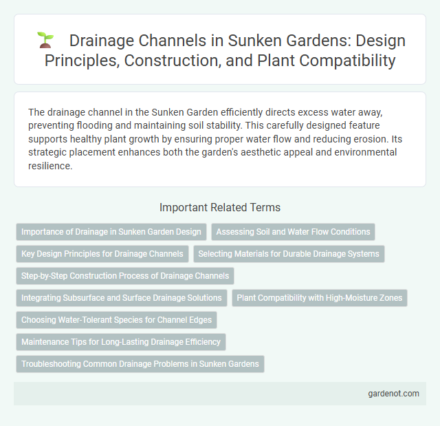 Drainage Channels in Sunken Gardens: Design Principles, Construction, and Plant Compatibility
