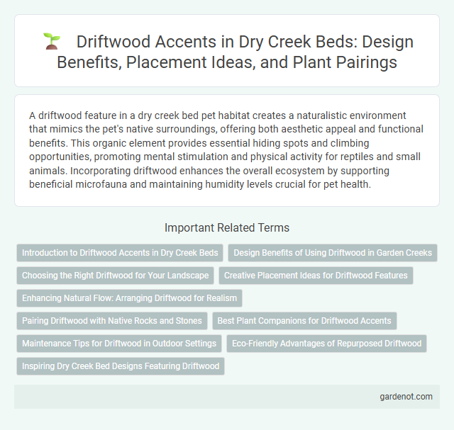 Driftwood Accents in Dry Creek Beds: Design Benefits, Placement Ideas, and Plant Pairings