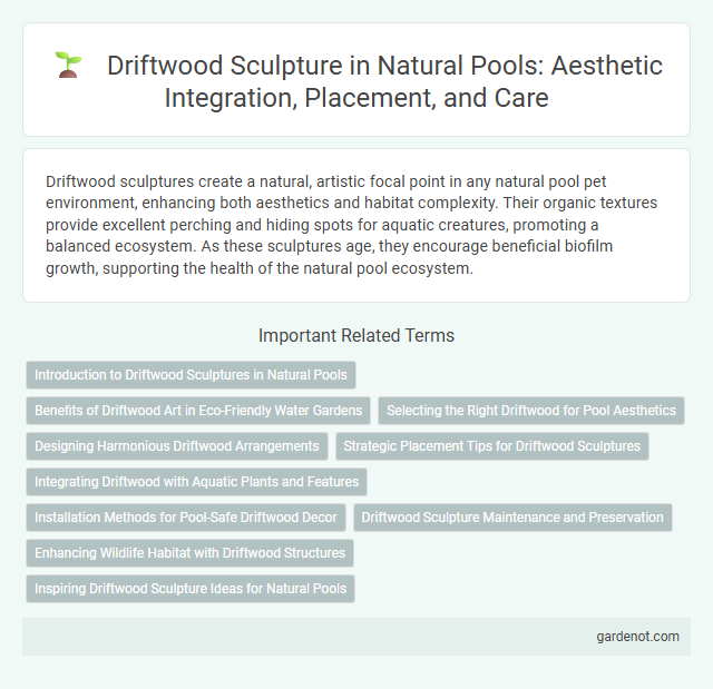 Driftwood Sculpture in Natural Pools: Aesthetic Integration, Placement, and Care
