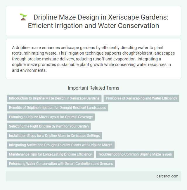 Dripline Maze Design in Xeriscape Gardens: Efficient Irrigation and Water Conservation