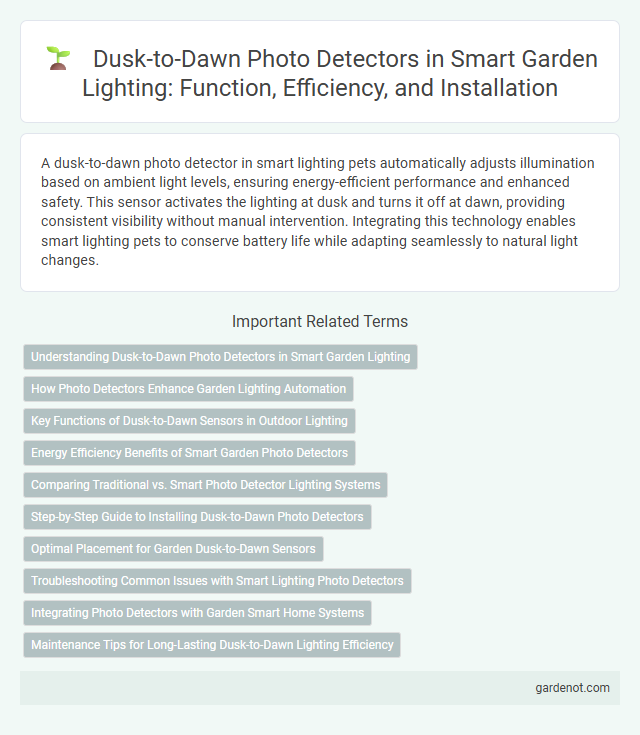 Dusk-to-Dawn Photo Detectors in Smart Garden Lighting: Function, Efficiency, and Installation