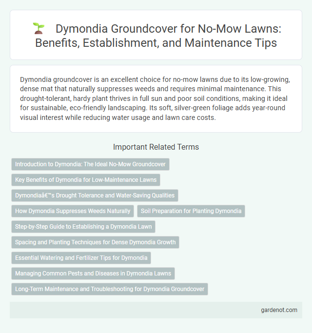 Dymondia Groundcover for No-Mow Lawns: Benefits, Establishment, and Maintenance Tips