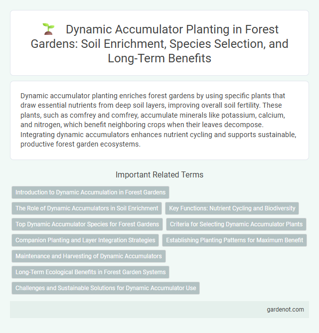 Dynamic Accumulator Planting in Forest Gardens: Soil Enrichment, Species Selection, and Long-Term Benefits