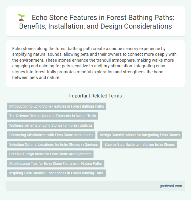 Echo Stone Features in Forest Bathing Paths: Benefits, Installation, and Design Considerations