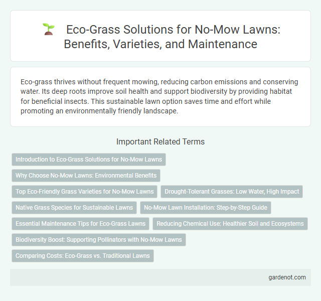 Eco-Grass Solutions for No-Mow Lawns: Benefits, Varieties, and Maintenance