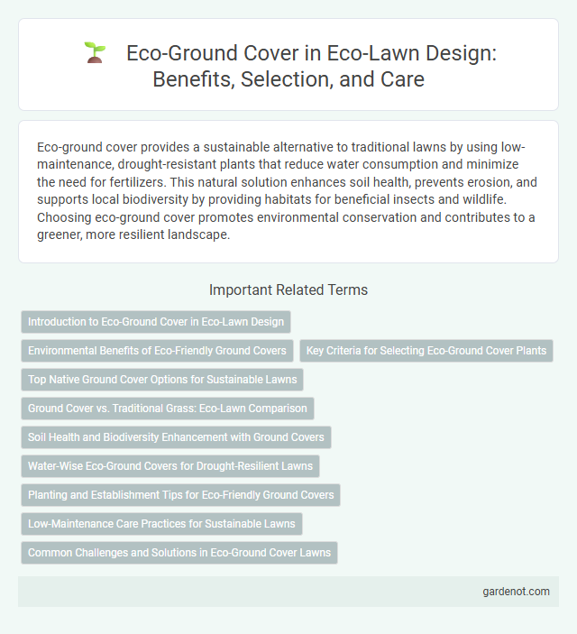 Eco-Ground Cover in Eco-Lawn Design: Benefits, Selection, and Care