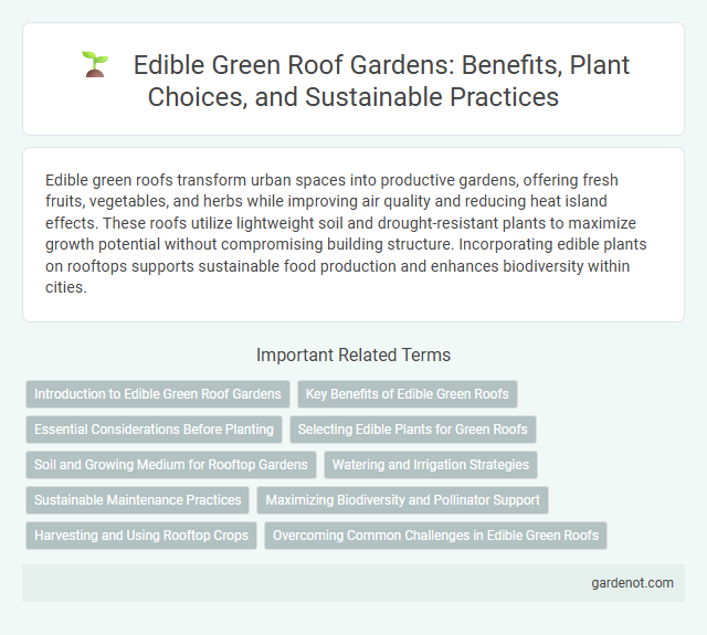 Edible Green Roof Gardens: Benefits, Plant Choices, and Sustainable Practices