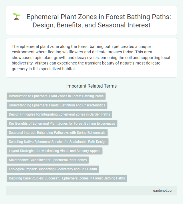 Ephemeral Plant Zones in Forest Bathing Paths: Design, Benefits, and Seasonal Interest