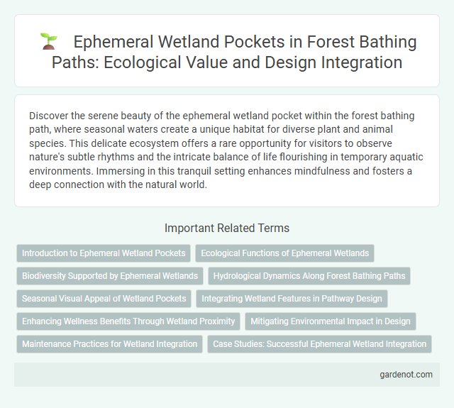 Ephemeral Wetland Pockets in Forest Bathing Paths: Ecological Value and Design Integration