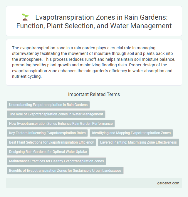 Evapotranspiration Zones in Rain Gardens: Function, Plant Selection, and Water Management