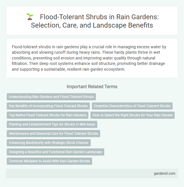 Flood-Tolerant Shrubs in Rain Gardens: Selection, Care, and Landscape Benefits