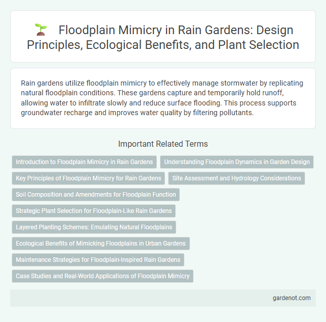 Floodplain Mimicry in Rain Gardens: Design Principles, Ecological Benefits, and Plant Selection