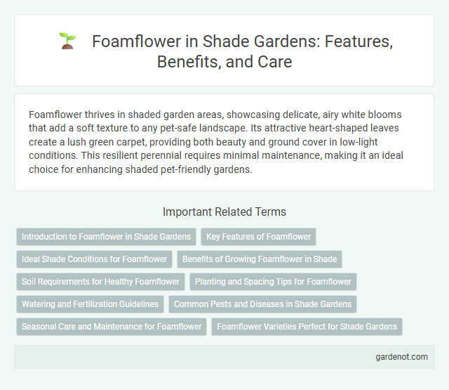Foamflower in Shade Gardens: Features, Benefits, and Care