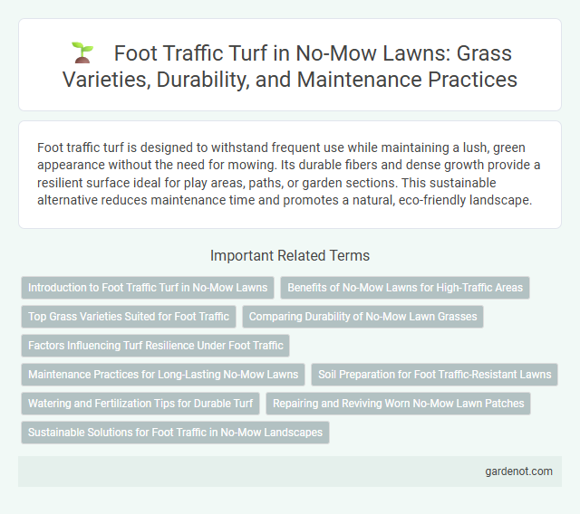 Foot Traffic Turf in No-Mow Lawns: Grass Varieties, Durability, and Maintenance Practices